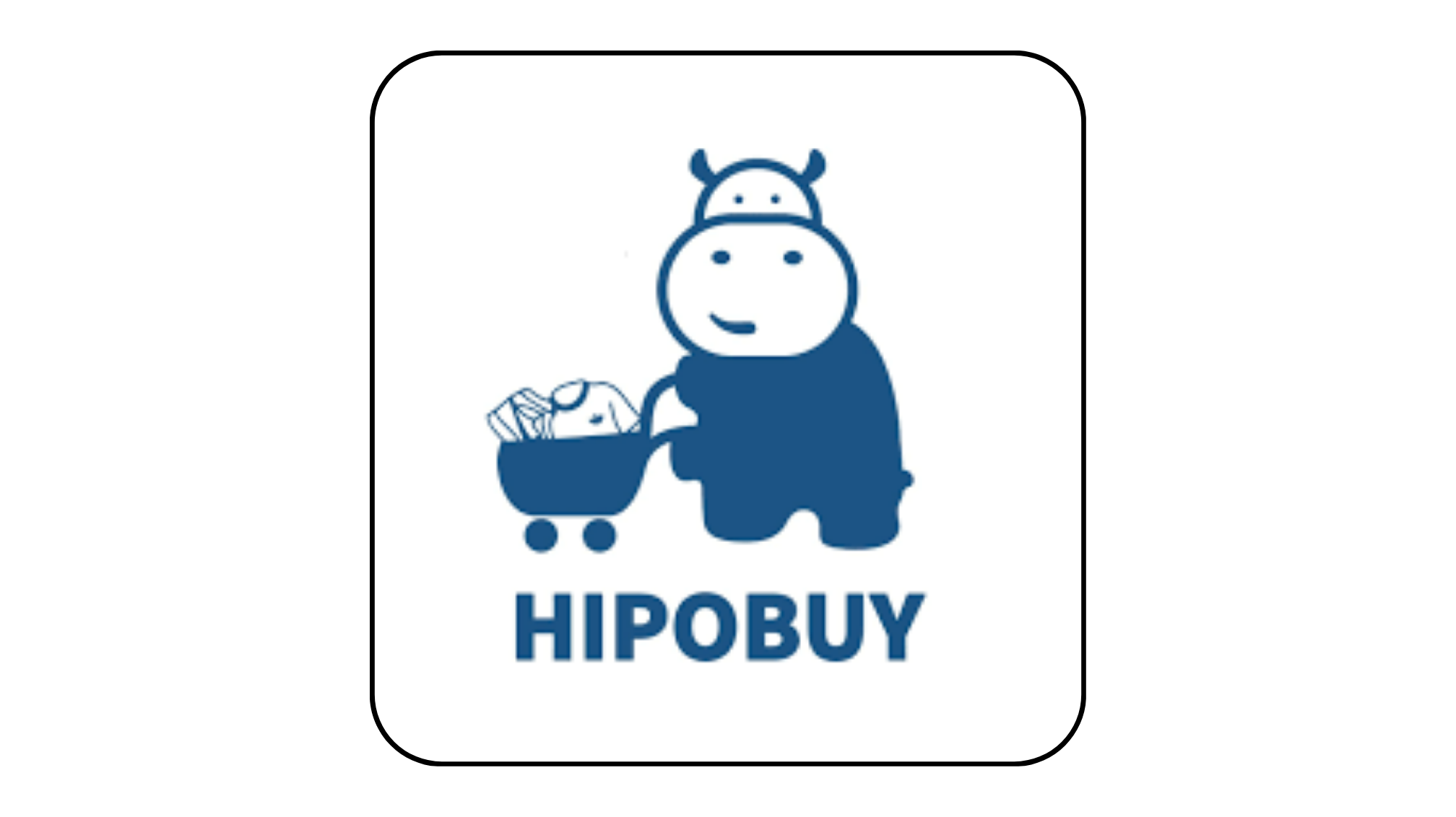 What is Hipobuy?